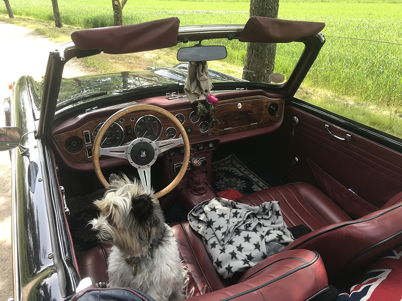 TriumphTR250_gallery4.png